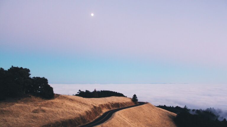 Titelbild Musik und Pandemie verlassene Landschaft, Straße, Horizont