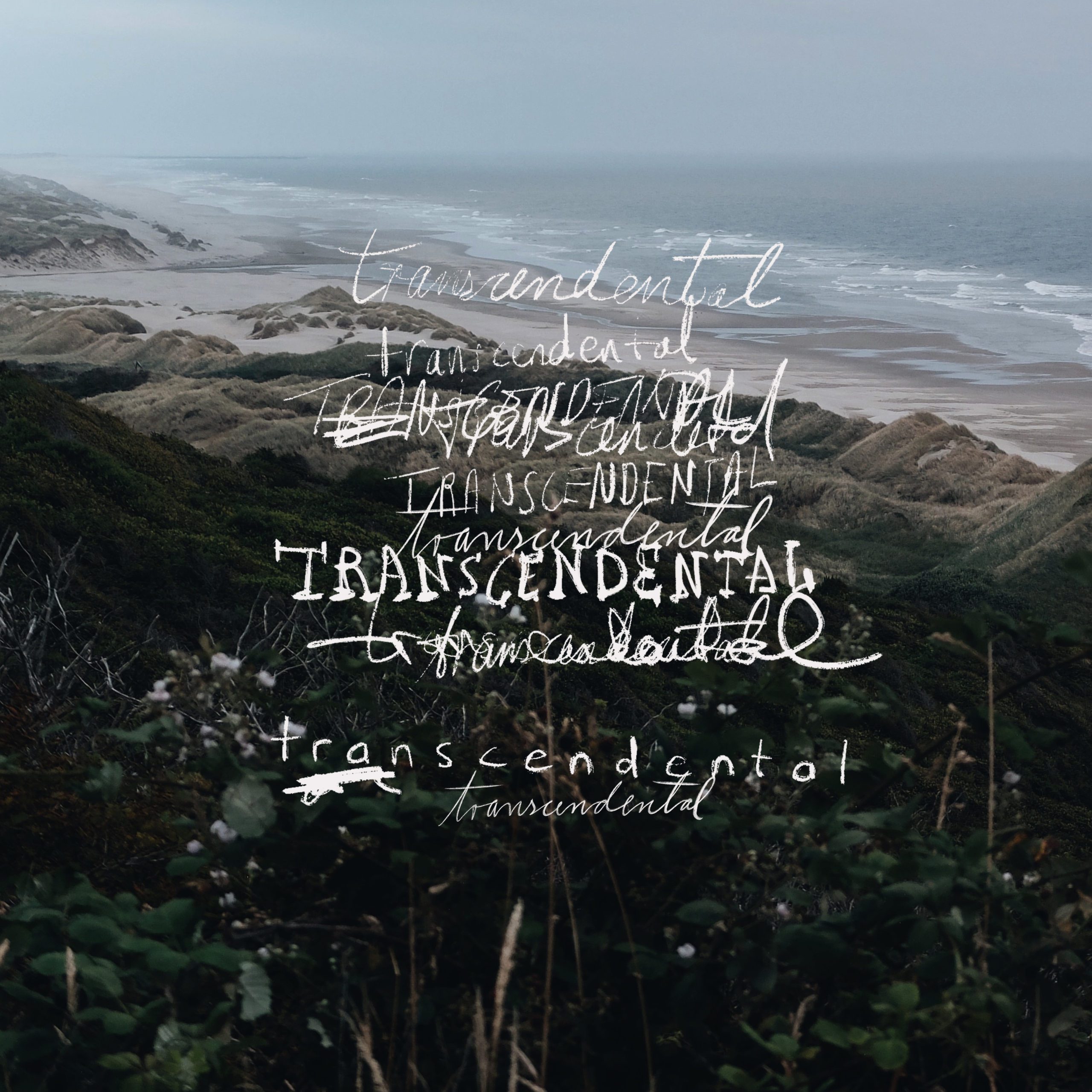Alexander John - Intuitives Klavierspiel mit experimentellem Einschlag Artwork zu Alexander Johns Song Transcendental