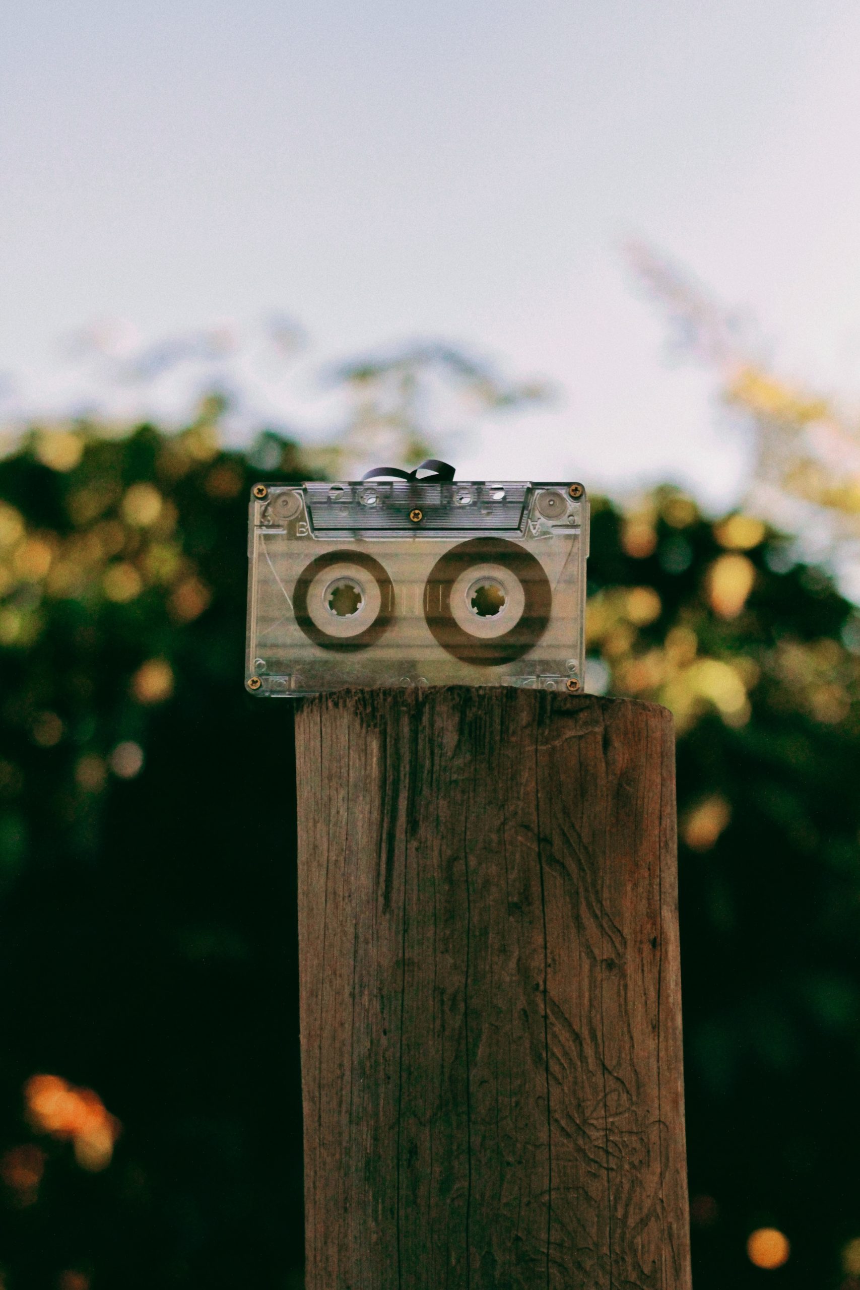Musik vs. Musikmarketing | mukken Blog Eine Kassette steht auf einem Baustumpf