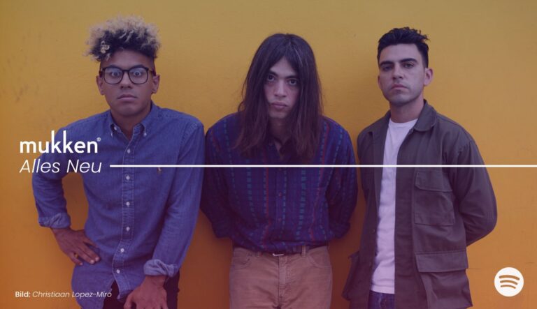 Einfach, aber effektiv, und mit einer klaren lebensbejahenden Attitüde besingen die Jacuzzi Boys in „Have a Ball“ eine Ode an das Erleben und Schätzen des Moments.